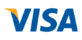 Usar Cartões Visa em Cassinos Online